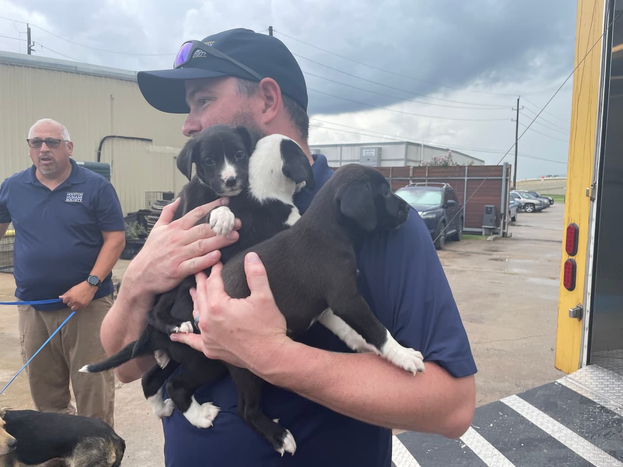 Un equipo especializado de la organización viajó a la zona afectada para trasladar a los animales, 
<b>quienes llegaron sanos y salvos a Houston el martes 8 de julio.</b>
