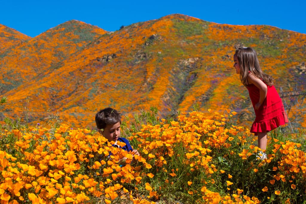 La cantidad de visitantes ha rebasado la capacidad de las autoridades locales.