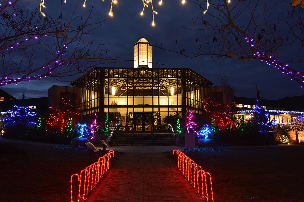 <b><a href="https://www.capefearbg.org/event/holiday-lights-in-the-garden-2/" target="_blank">Holiday Lights in the Garden (del 3 al 23 de diciembre)</a></b>: Todo el Cape Fear Botanical Garden se iluminará con luces y se transformará en un paraíso invernal. Santa Claus, s'mores, entretenimiento y más se ofrecerán durante la temporada navideña.