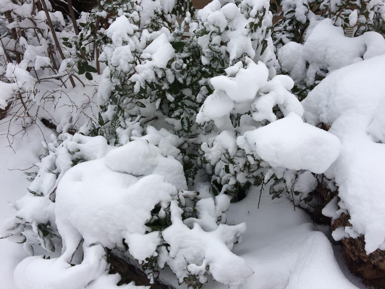 La ciudad Flagstaff en el norte de Arizona esta cubierta de nieve