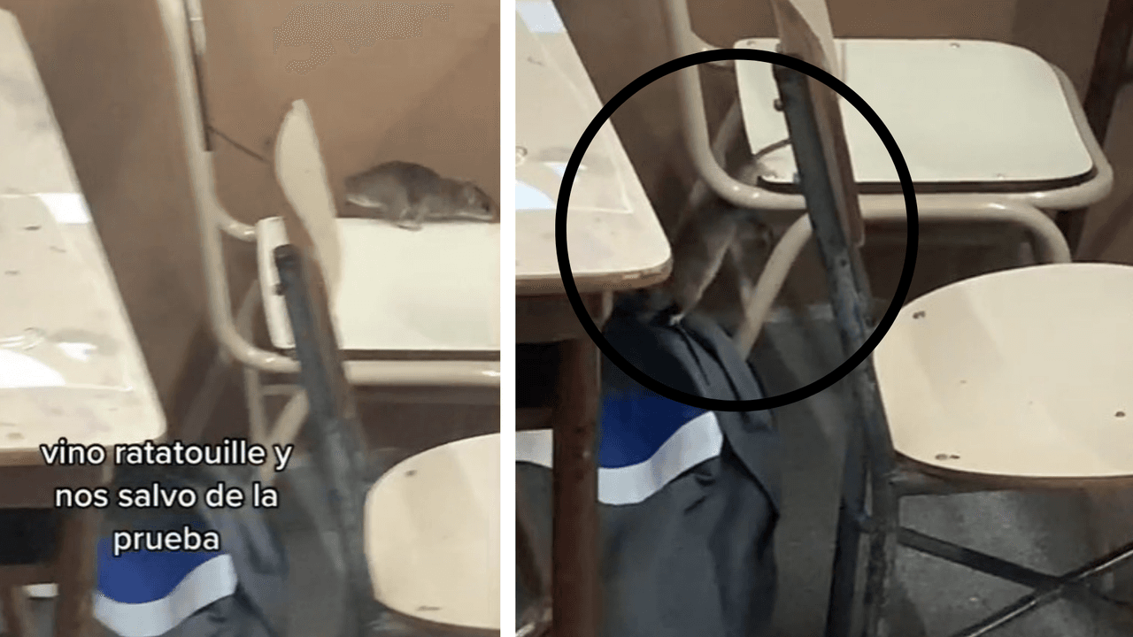 Hasta llegó a las mochilas de los alumnos