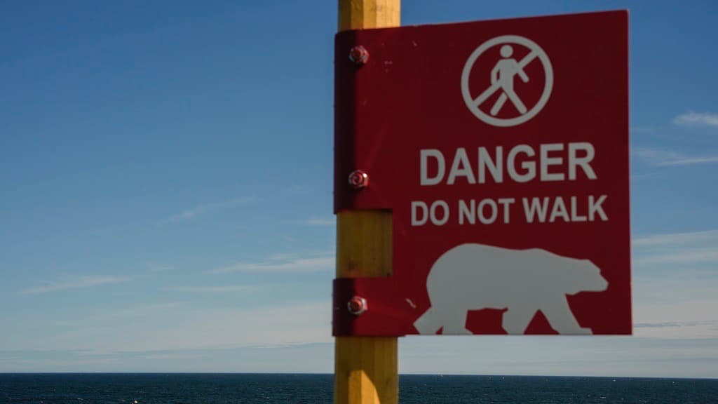 El hombre que se enfrentó a un oso polar para salvar a su esposa