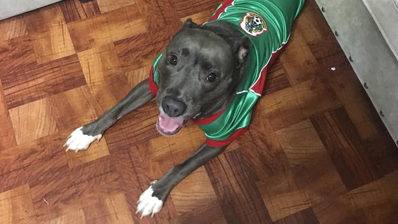 “El se llama Blue, vino a mi vida a darme mucha felicidad y a quitarme la gran depresión que padecía”, escribió Abriana Barrios.