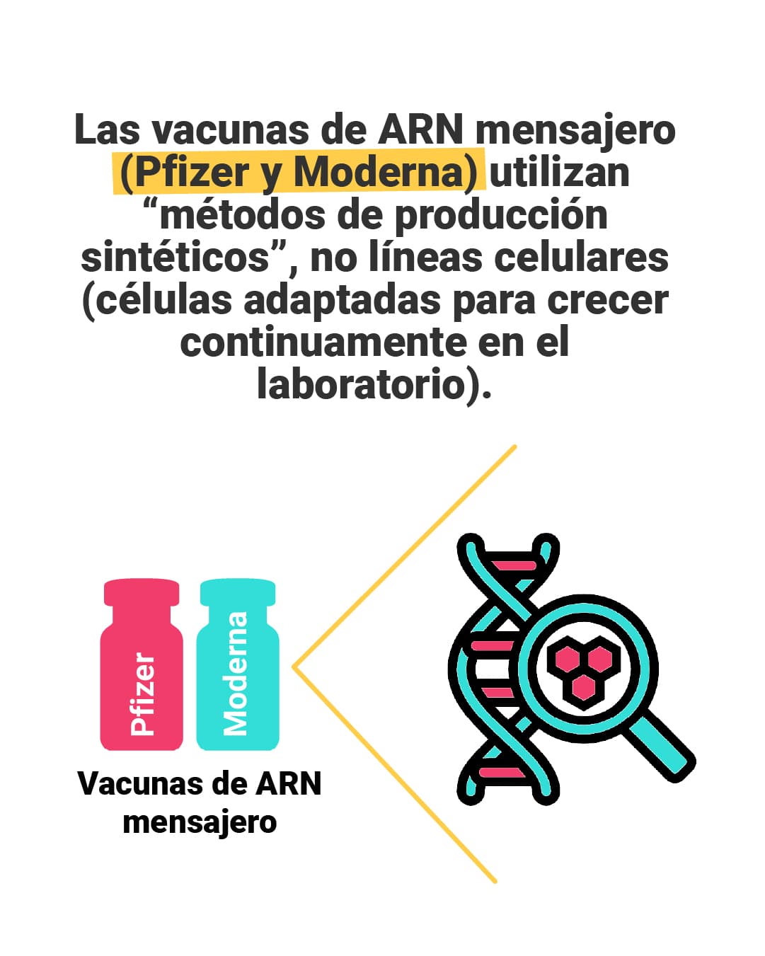 <a href="https://www.univision.com/noticias/vacunas-johnson-johnson-no-provienen-directo-fetos-abortados-vaticano">Aquí puedes leer la verificación completa de <b>El Detector</b>.</a>