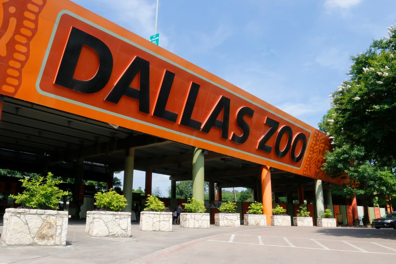 De luto el zoológico de Dallas