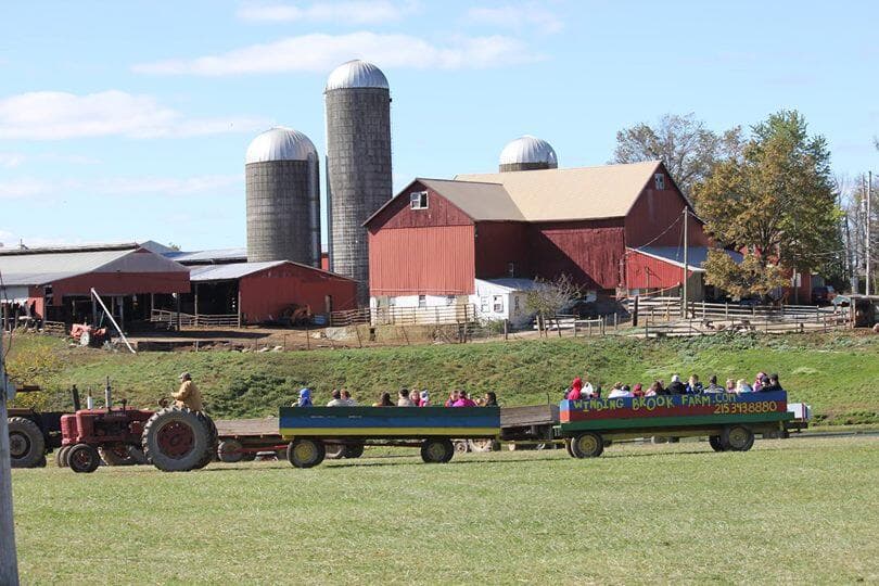 <b>Mira También</b>: Estas granjas 
<b><a href="https://www.univision.com/local/philadelphia-wuvp/granjas-visitar-otono-pensilvania-fotos " target="_blank">son una buena opción para visitar este otoño</a></b> en Pensilvania