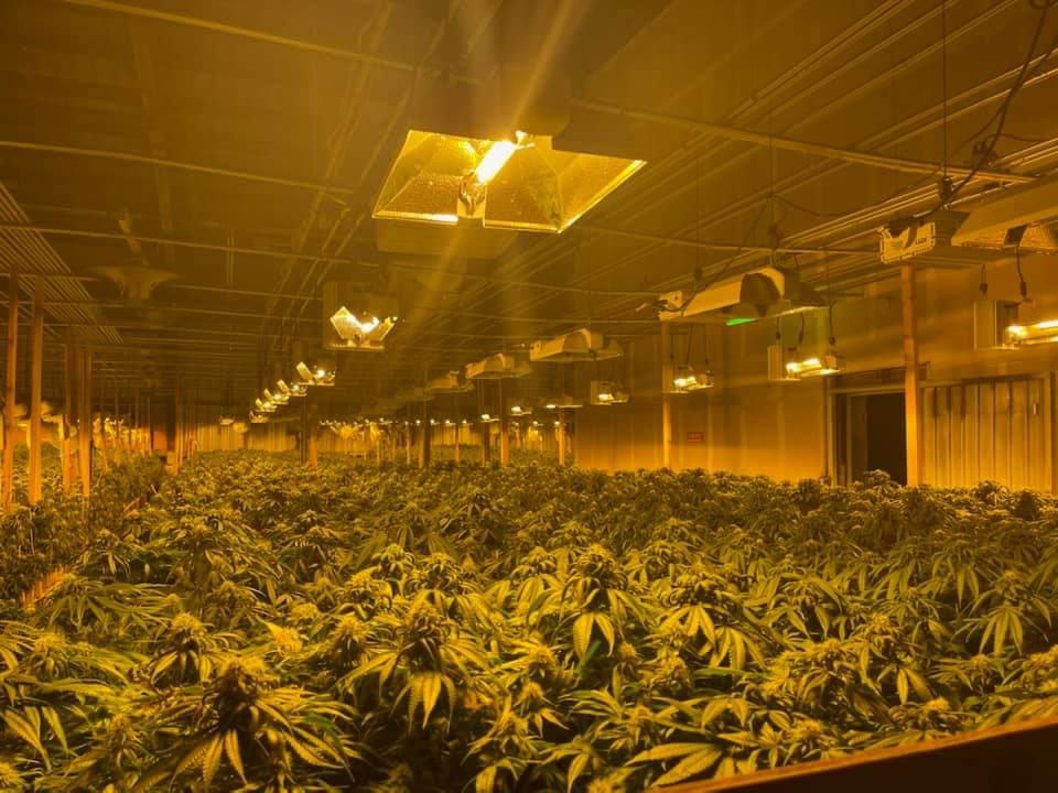 El uso de la marihuana ha sido legal en California para uso medicinal desde 1996, y para su uso recreacional desde 2016. A nivel local, los gobiernos municipales no pueden prohibir su uso, cultivo o transporte, siempre y cuando sea para uso personal.