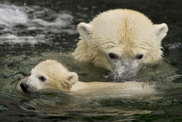 Y nuestras acciones diarias pueden contribuir o reducir este efecto.