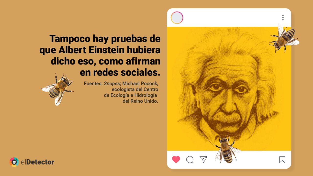 De acuerdo con 
<i>Snopes</i>, esta frase circula al menos desde 2008 en redes sociales, pero no hay pruebas de que la haya emitido Einstein.