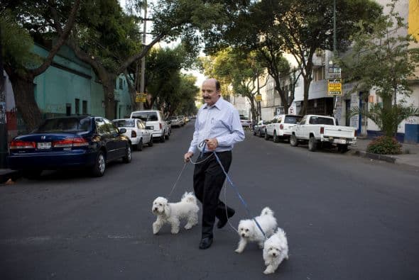 En México, la convivencia con animales se aplica a personas con enfermedades físicas o emocionales, y se le denomina Terapia Asistida con Animales.