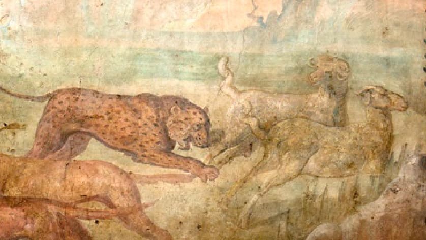 La casa representa "
<b>uno de los raros ejemplos de una antigua vivienda del último período samnita </b>(siglo II a.C.)", la tribu itálica que habitó las montañas del sur de la península y ocupó la ciudad de Pompeya. En el detalle de la imagen, un leopardo intenta alcanzar a un par de ovejas.