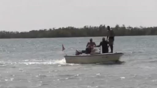 Prohiben la pesca comercial durante el fin de semana