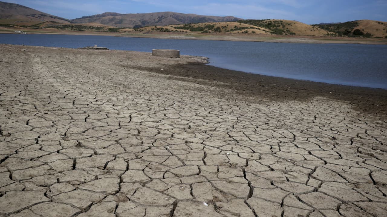 ¿Cómo logrará California lidiar con los impactos de la sequía? Gavin Newsom responde