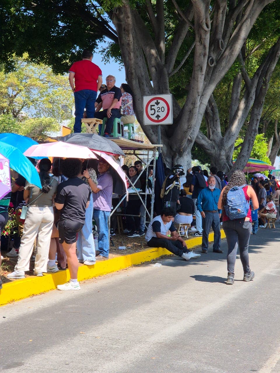 En el estado de Illinois, en La Villita en Chicago, la celebración se vio opacada por el temor de algunos latinos a ser detenidos o deportados, lo que llevó a los organizadores a cancelarla.