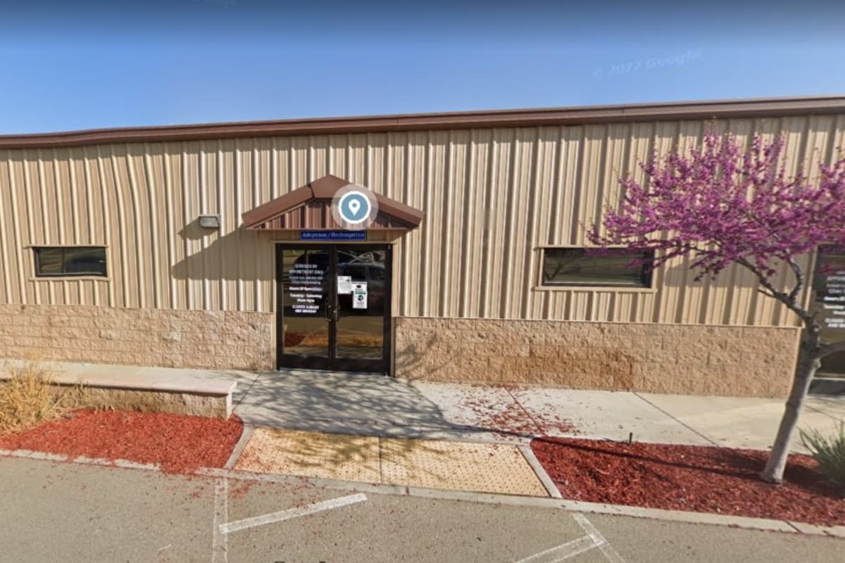 El refugio de animales que es administrado por la ciudad de Bakersfield recibió una gran noticia y fue la adopción de 30 perritos.
