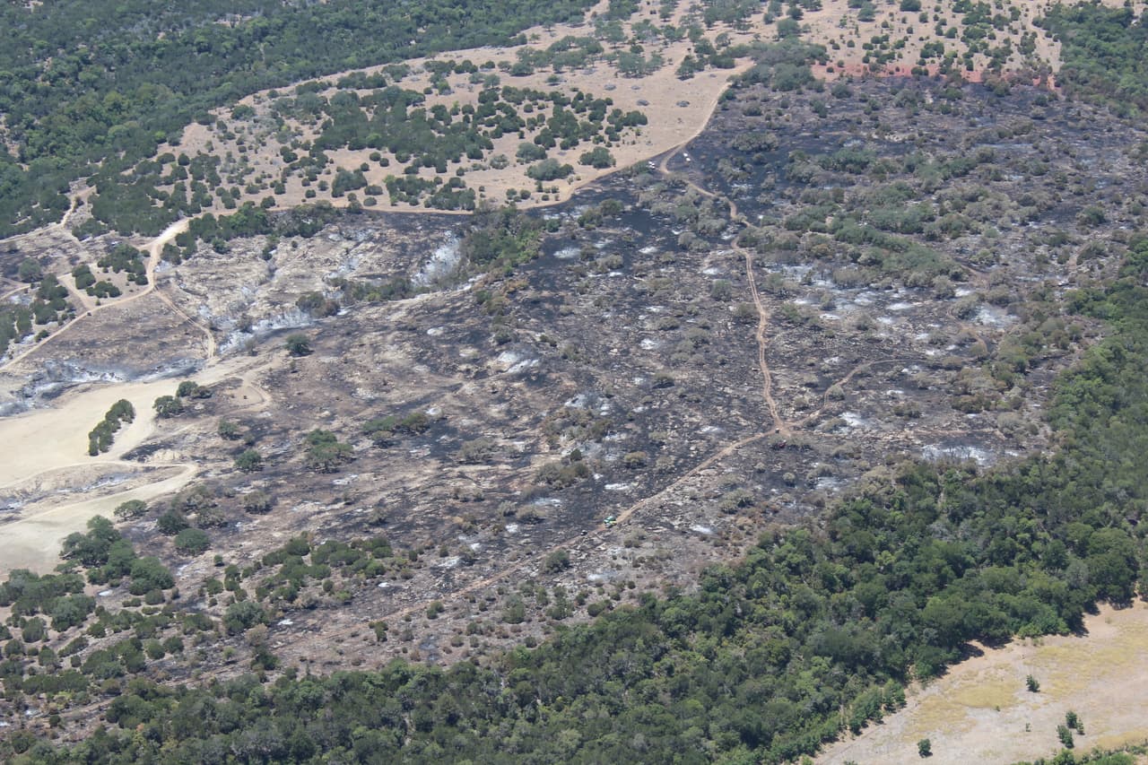Una prohibición de quema sigue vigente para el condado Williamson.