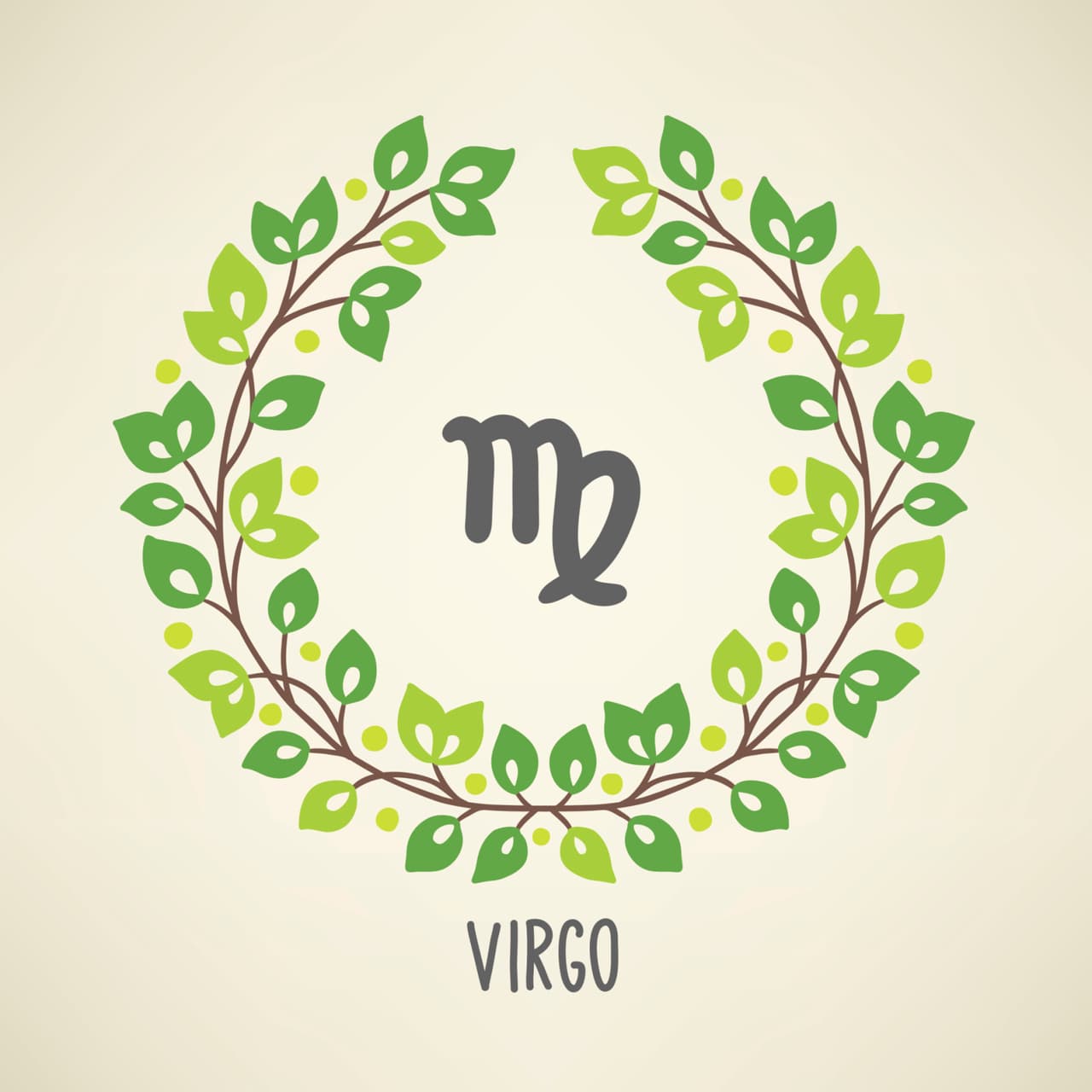 Virgo. Te preocupas exageradamente por todo.
