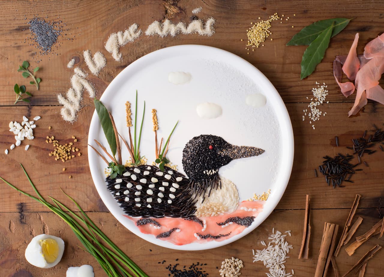 Las plumas de este ganso se ven súper reales.