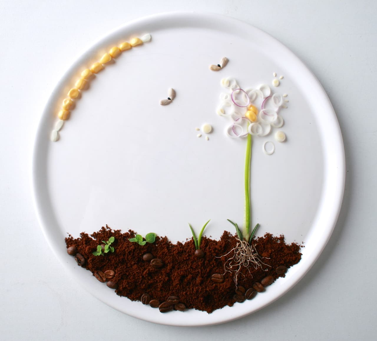 Además de ser antropóloga, Anne estudio estilismo de platos y Diseño.