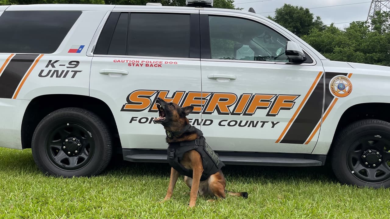 La oficina del Sherif del condado Fort Bend ha jubilado a ‘Duco’ elemento de la unidad de perros policías K-9.