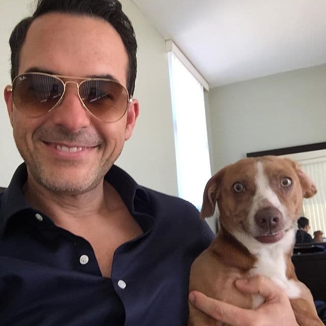 Bien dicen que las mascotas se parecen a sus dueños.