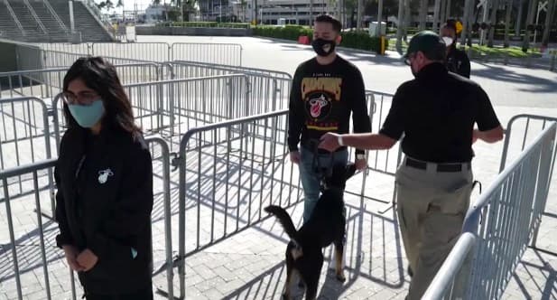 Los Miami Heat informaron este jueves que estarán utilizando los servicios de perros detectores del coronavirus como medida de protección a la entrada del American Airlines Arena.
<br>
