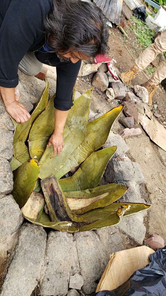 El jardín, que ha servido de oasis para los niños hispanos y afroestadounidenses que carecen de un patio o jardín en sus viviendas, será sede de lo que 
<a href="https://www.folkloreproject.org/ofrenda/cesar-viveros" target="_blank">César Viveros</a>, muralista mexicano y uno de los miembros del comité de educación del jardín, describió como una 
<b><i>"celebración de nuestra cultura, compartiendo lo que somos</i></b>".