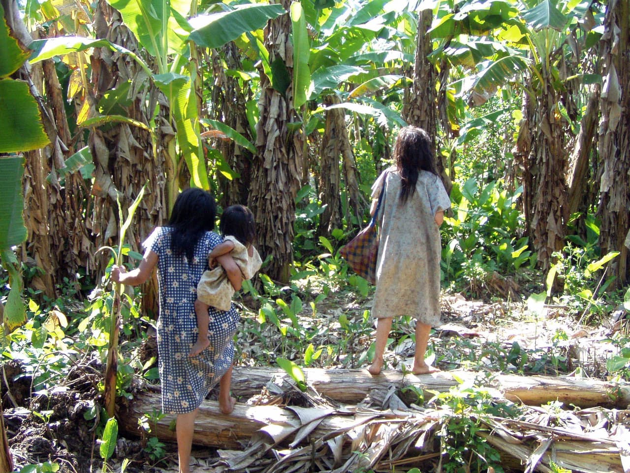 Tsimane, el pueblo indígena boliviano con el corazón más fuerte del mundo