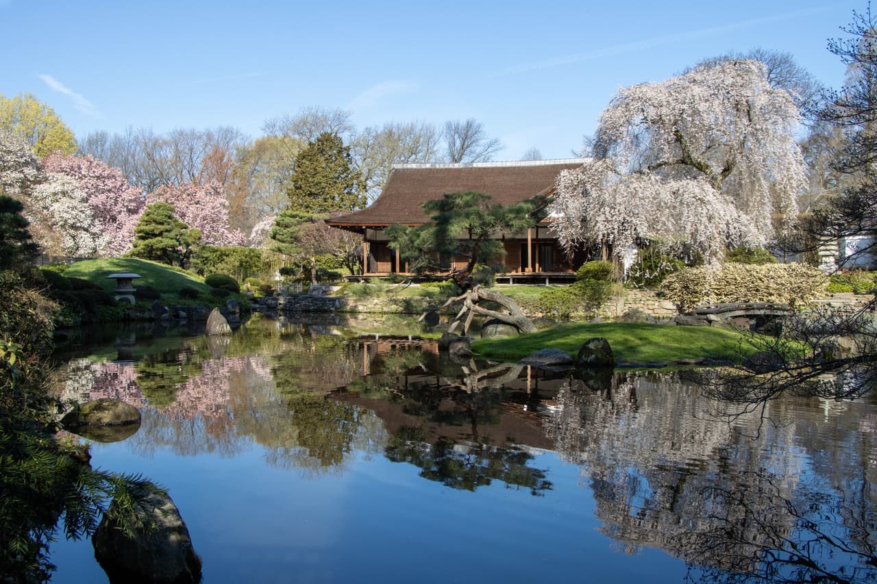 <b><a href="https://japanphilly.org/programs/festivals/cherryblossom/">Shofuso Cherry Blossom Festival (del 8 al 10 de abril)</a></b>: El Centro Cultural Japonés Shofuso de Fairmount Park reinventa su Festival anual (y muy popular) de los cerezos en flor para 2022, enfocándose en la comunidad en el vecindario cercano de Parkside a través de artistas locales e intérpretes destacados.