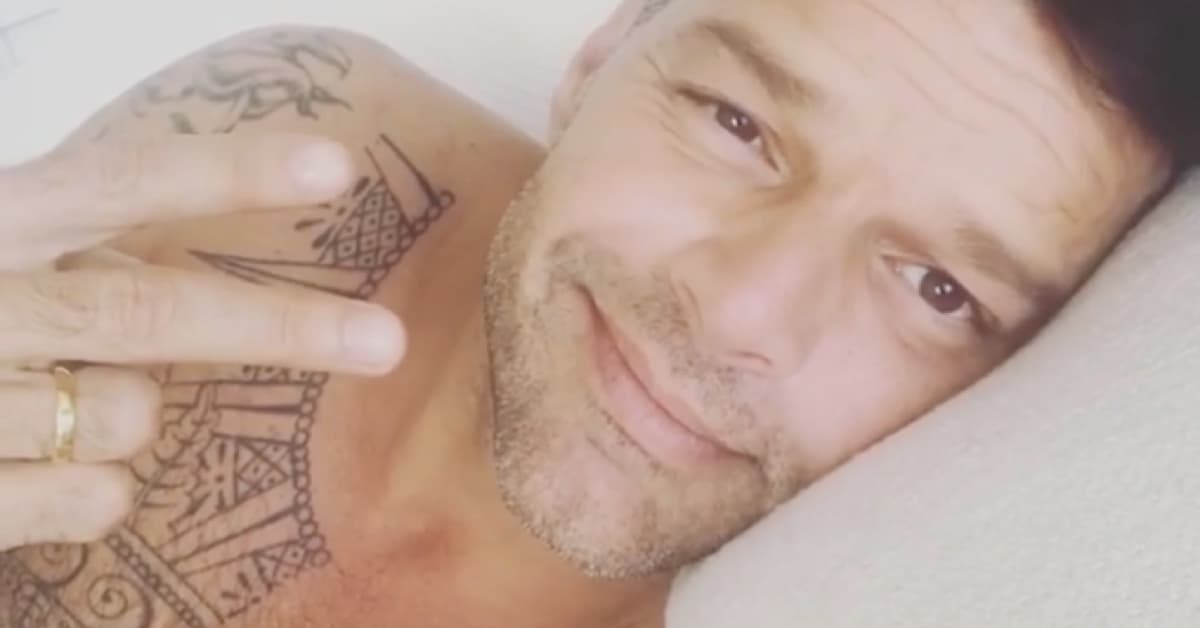 Ricky Martin muestra la gigante casa que compró hace solo dos meses 
