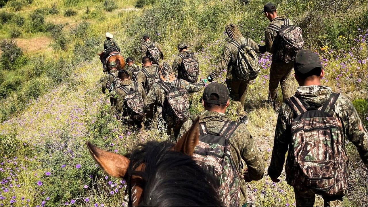 El jefe interino de la Patrulla Fronteriza John Modlin reportó el arresto en un tuit. Afirmó que en un esfuerzo de colaboración, la Unidad de Patrulla de Caballos del Sector de Tucson y Aire y Marina detuvo con a 11 migrantes que intentaban evitar la aprehensión caminando "por un terreno traicionero".