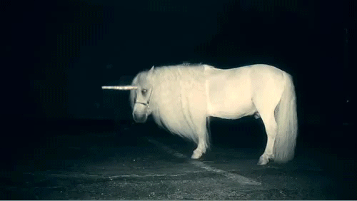 Ctesias explicaba que uno de los primeros unicornios se llamó Asallam, y llegó cuando los fuegos de la creación aún no se habían extinguido. Asallam pensó que el fuego debía apagarse para que se creara todo tipo de vida y por eso, con su fuerza increíble, hundió su cuerno en una gran roca. Un gran chorro de agua brotó de la piedra y fue así como la tierra floreció por doquiera.