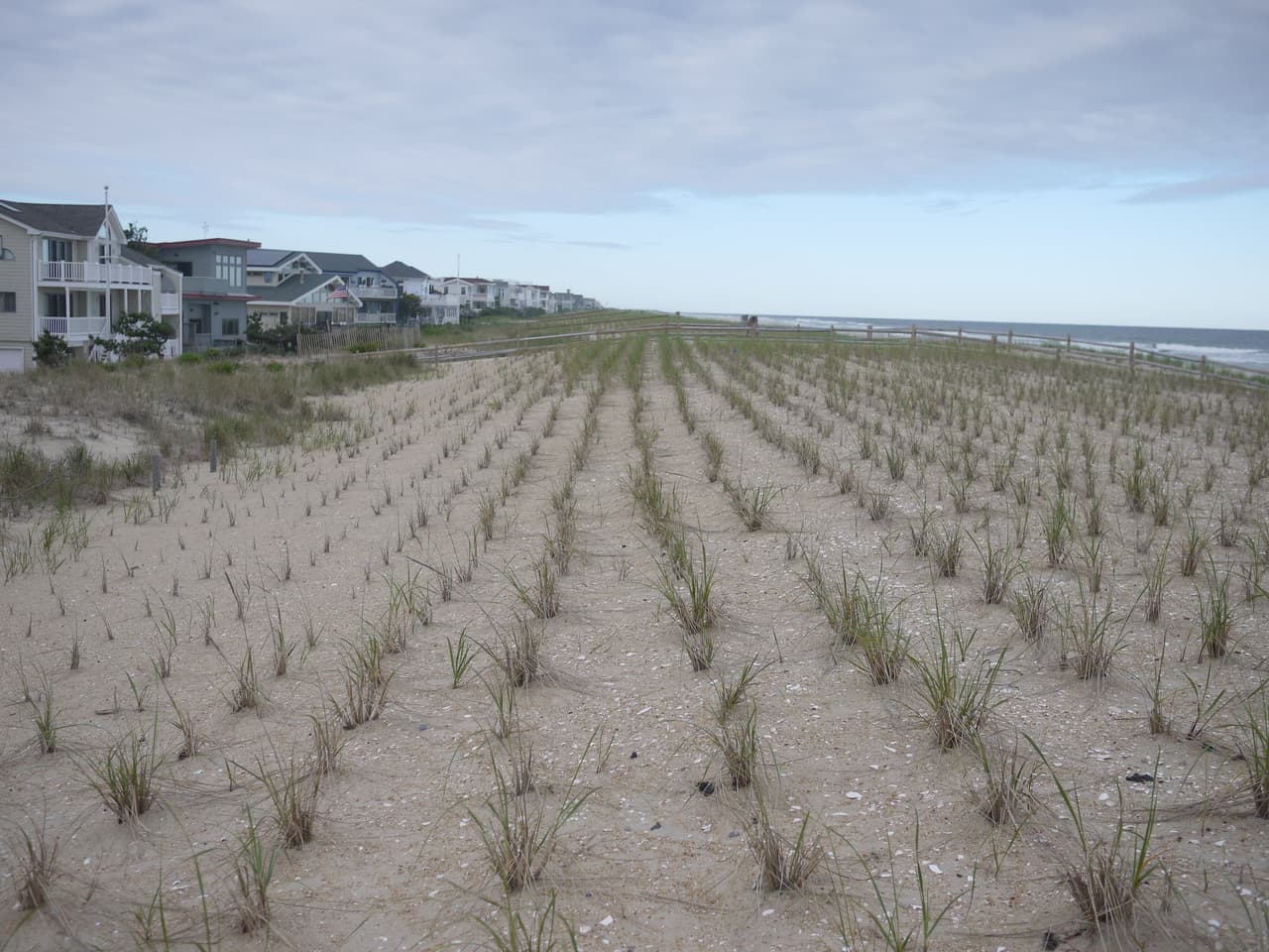 Informe de caída de avioneta es "infundado": autoridades tras larga búsqueda en aguas de Long Beach