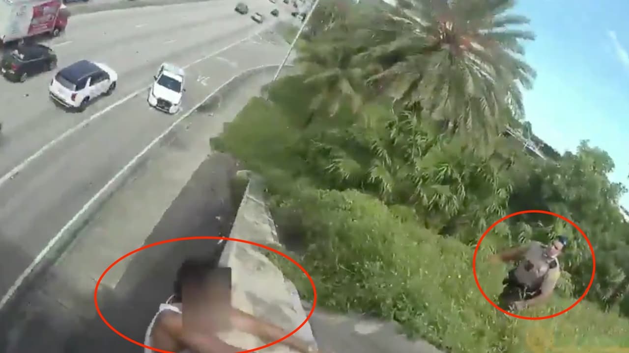 Policía de Miami-Dade salva la vida de un hombre en crisis en la Palmetto