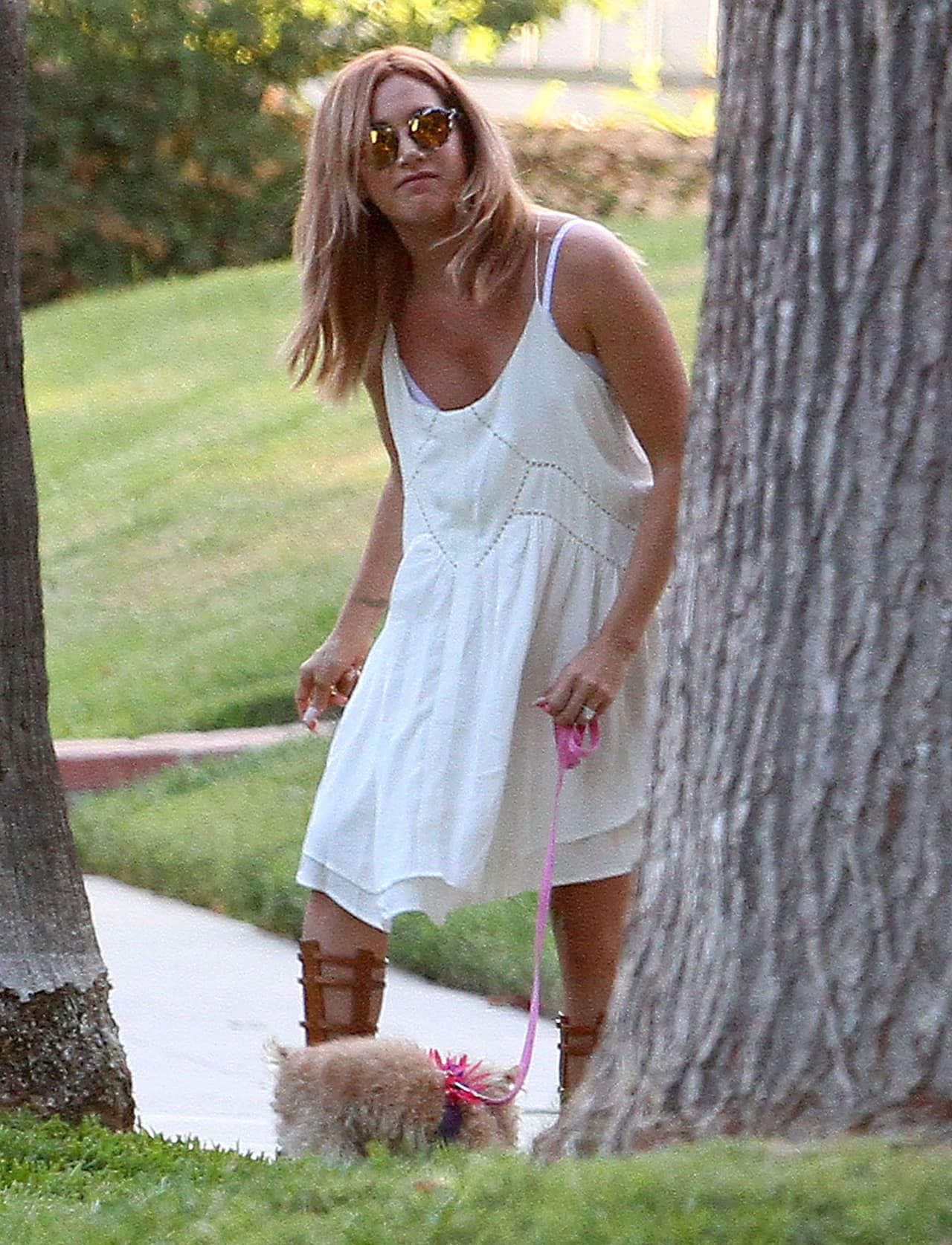 Ashley Tisdale debe tener más cuidado, pues con estas situaciones hace que a su perrita le de pena salir a la calle.