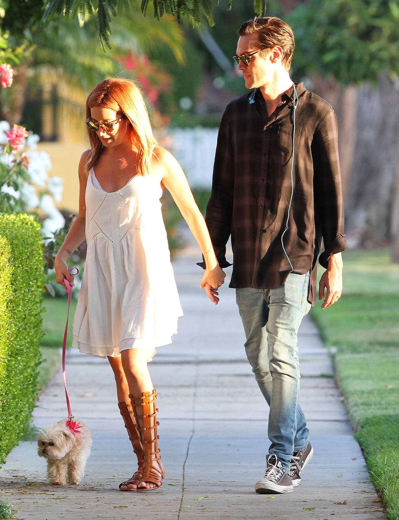 Maui, la Bichón maltés de la estrella, salió a la calle un par de horas.