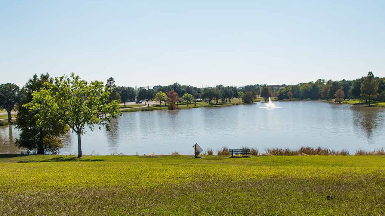 El juez KP George indicó que es vital que la gente que presenta síntomas de
<a href="https://www.univision.com/local/houston-kxln/ordenan-cerrar-los-parques-de-houston-desde-esta-noche-por-el-coronavirus">coronavirus</a> no asista a los parques.