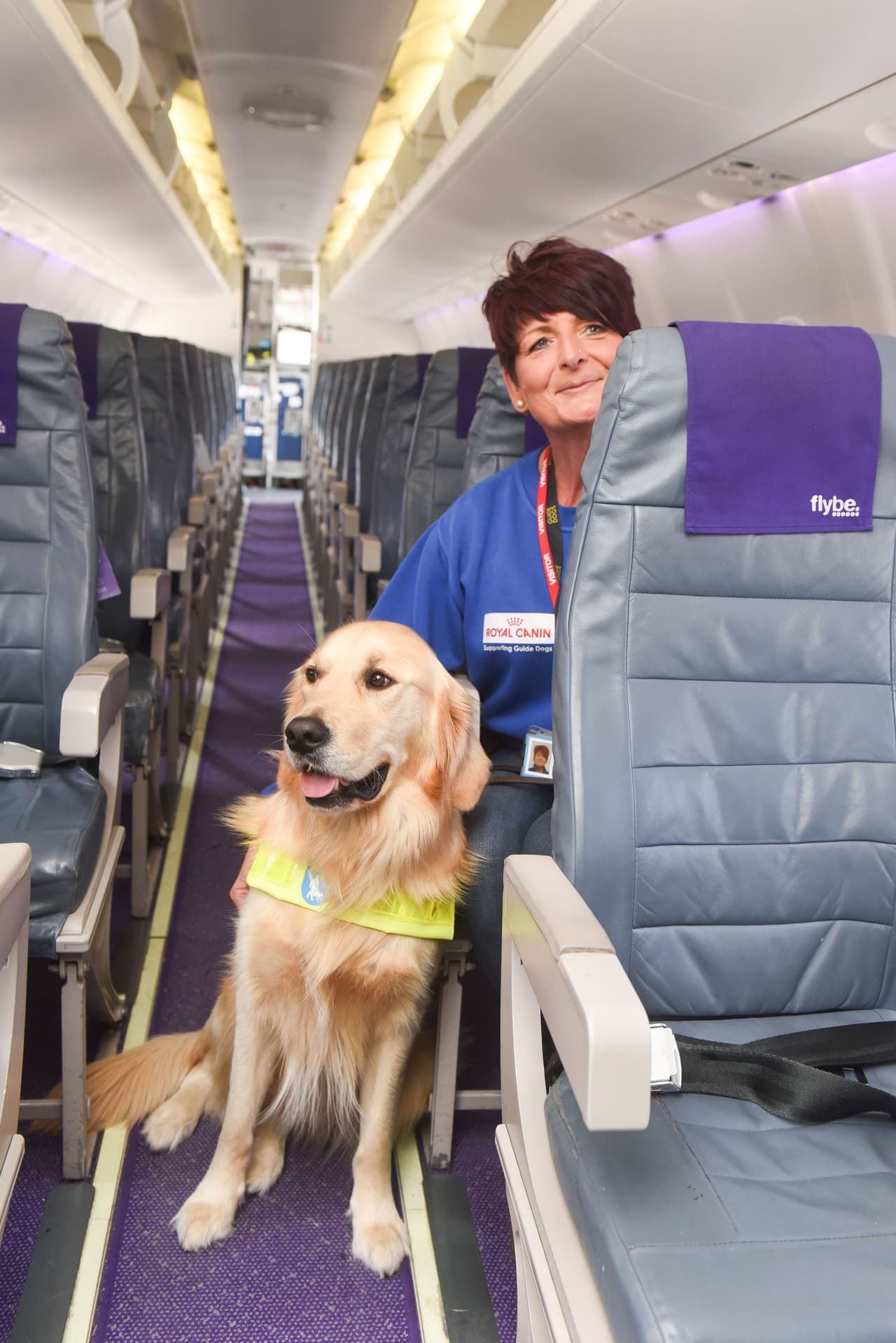 Ambos son muy inteligentes