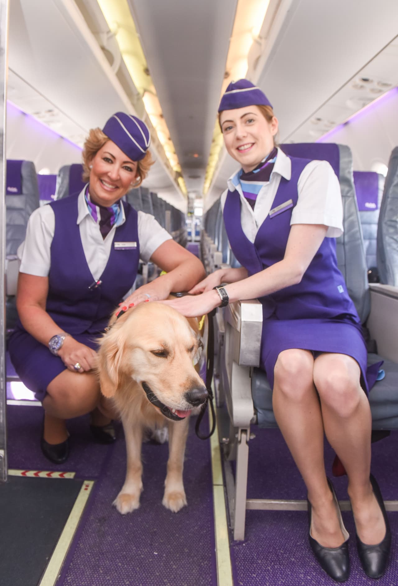 Esto debido a lo indispensables que son para sus humanos