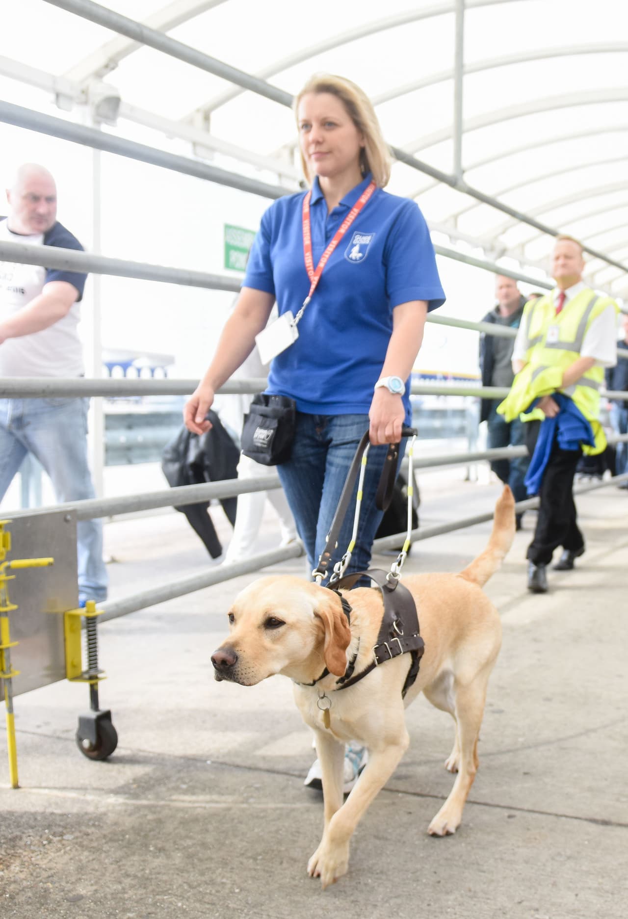 Dirigen a las personas a donde deben.