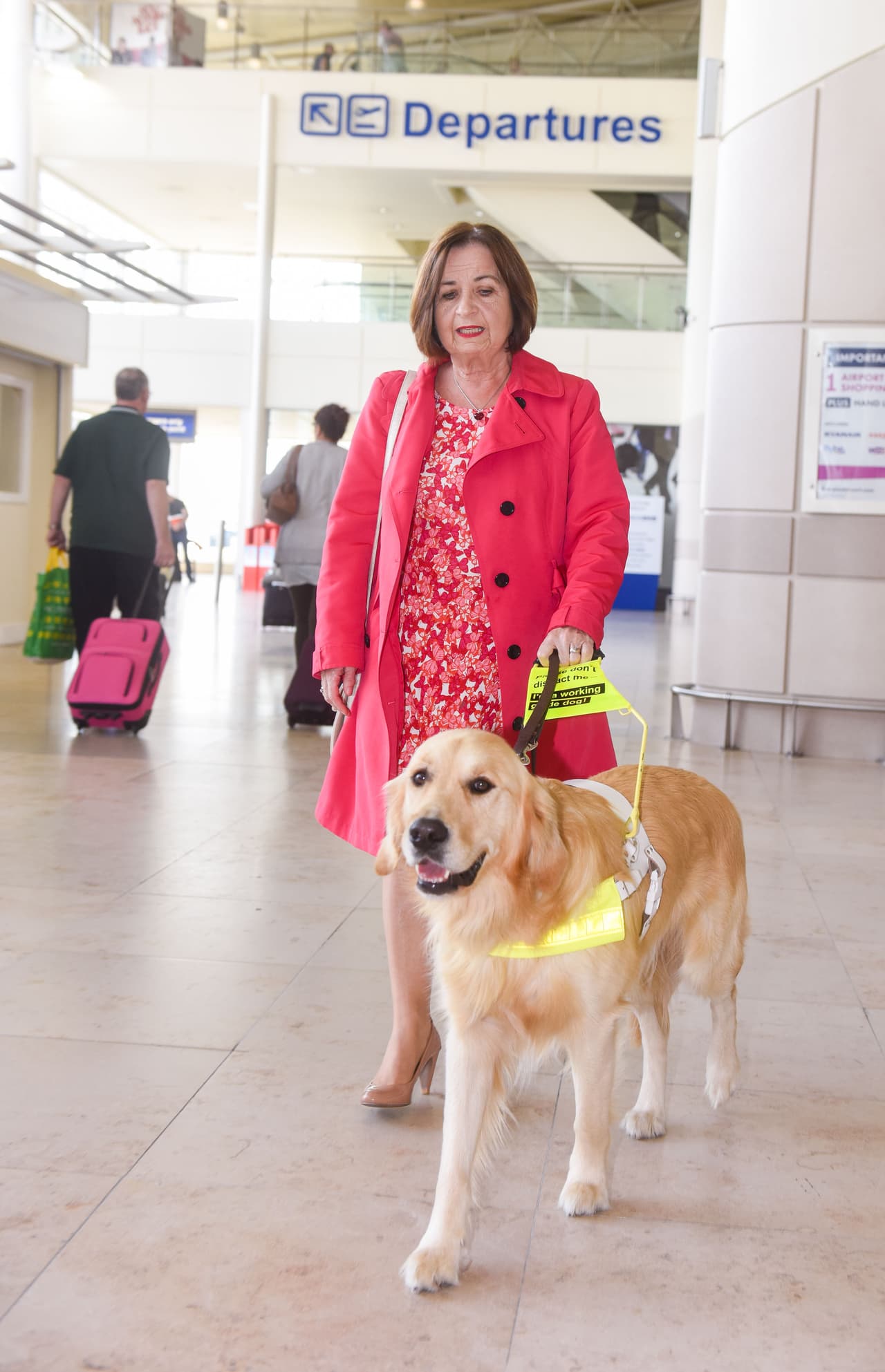 Woody y Helena son el dúo dinamita.