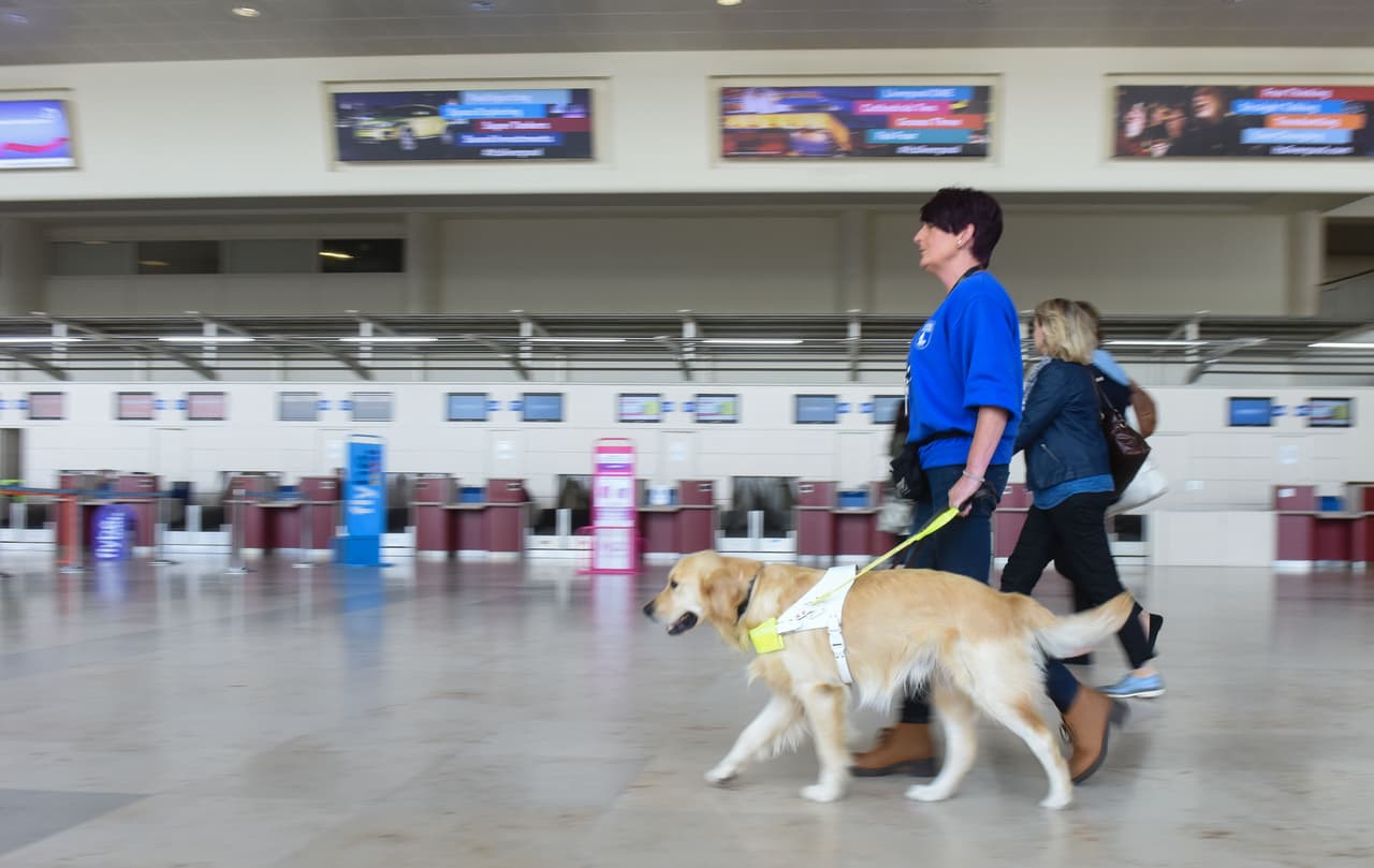 Ellos se encuentran aún en entrenamiento.