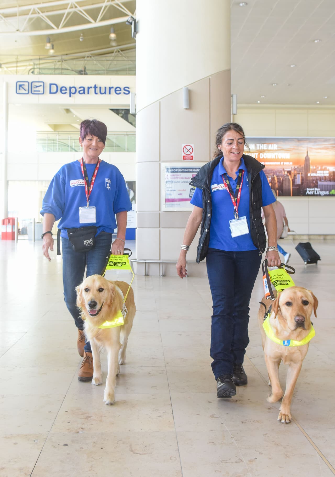 ¡Son dos lindos perros!