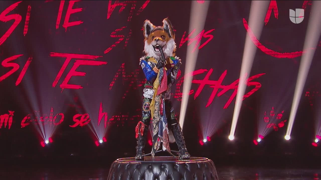 Zorro movió las caderas como la mismísima Shakira y hasta uno de los investigadores apostó que tras la máscara se encontraba la cantante colombiana, ¿será?