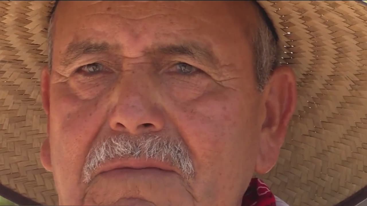 A sus 82 años este hispano vende cacahuates en las calles de Phoenix