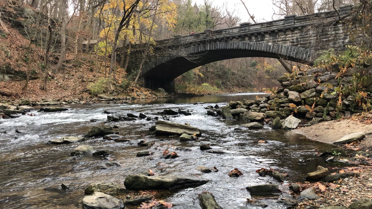 Más de 1,1 millones de visitantes anuales aprovechan las abundantes oportunidades recreativas del parque.