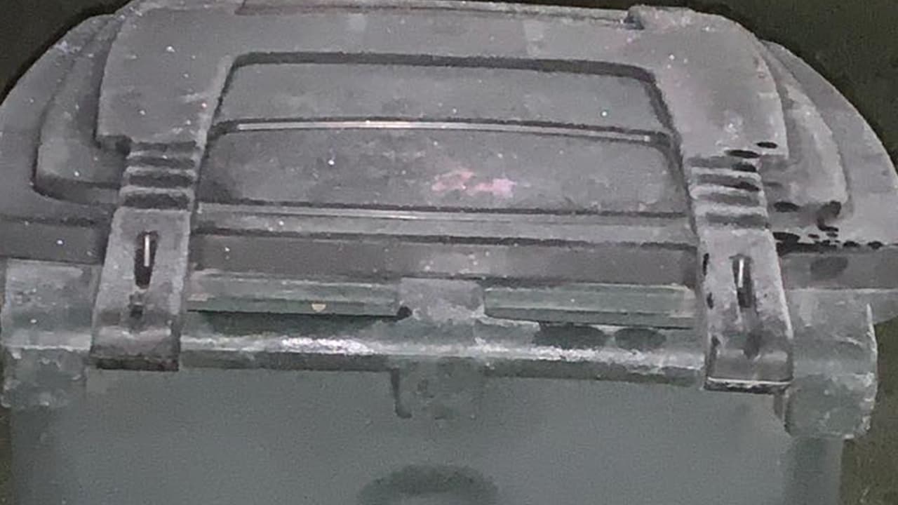 "Así de frío en Sealy, TX con algo de hielito": Nancy Reyes Baltierrez