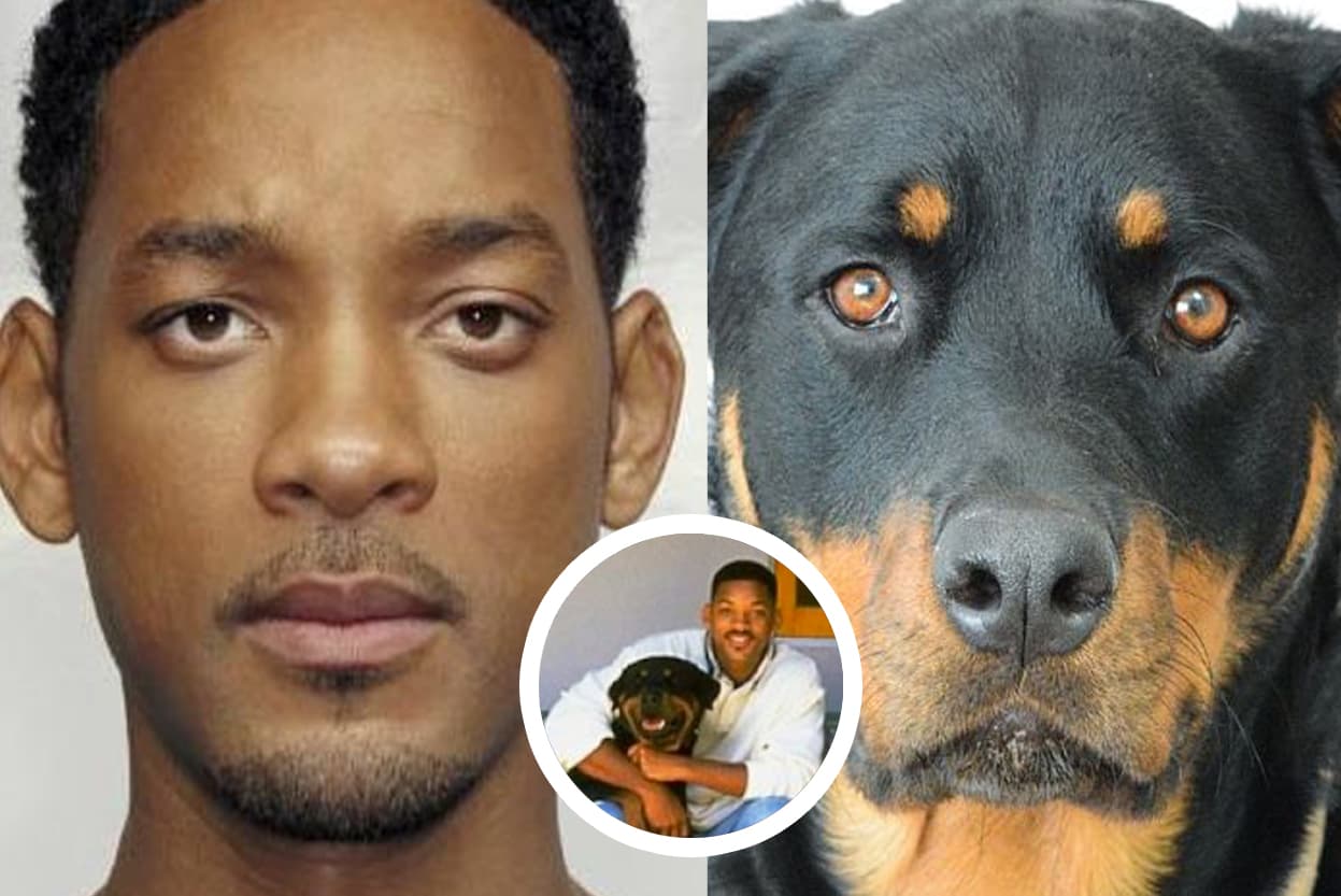 <b>Will Smith </b>tiene una manada de perros rottweiler, quienes fueron educados por César Milán.