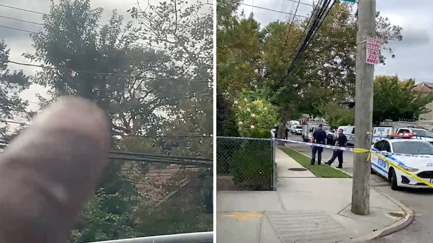 Hombre que estaba montado en la cima del árbol en Queens por fin se decidió a bajar