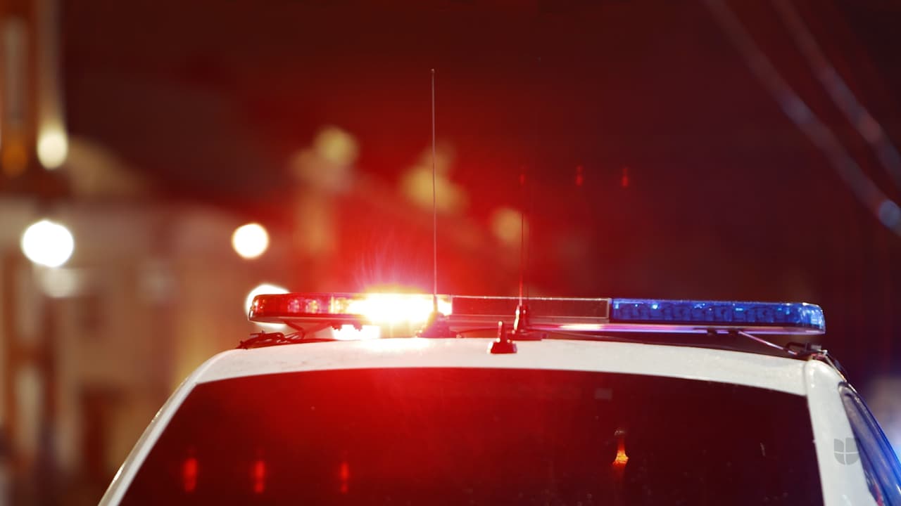 Sigue leyendo para ver algunos de los vehículos que serán subastados.